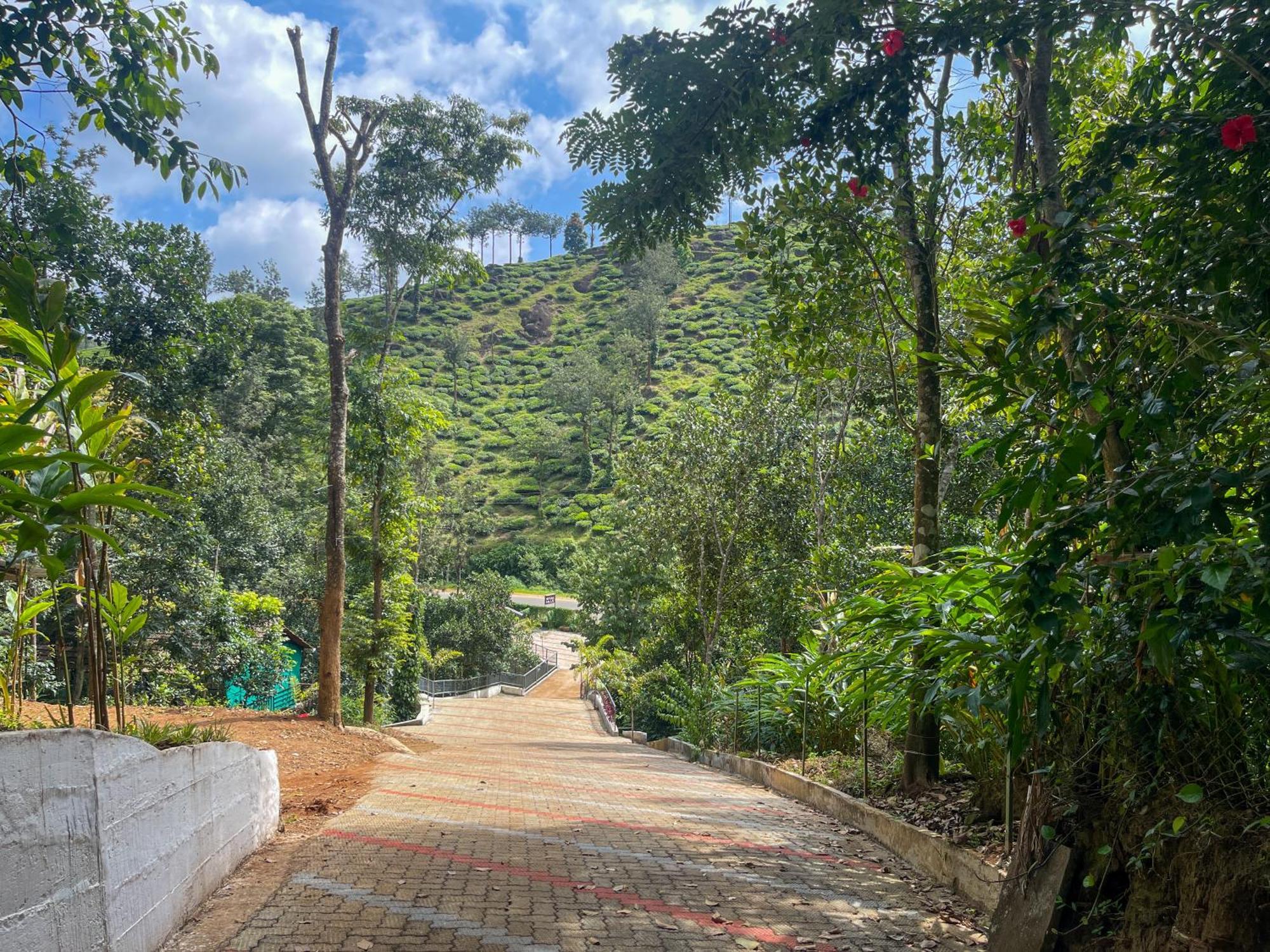 Snow Hills Resorts Thekkady Exterior photo